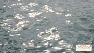 o30 l'Opticien - Clélia & David - depuis 2006