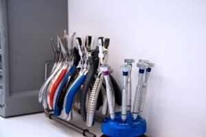 Optique des Dauphins