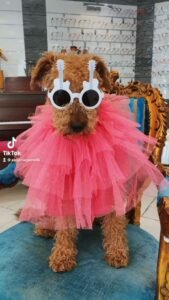 Optic Chic - Partenaire Expert Vision France - Service d’accès à l’ophtalmologie