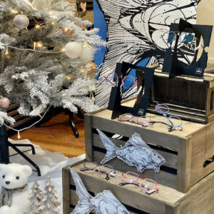 OPTIQUE DES 4 VENTS | Sur RDV | Opticien Créateur & Indépendant | Schiltigheim